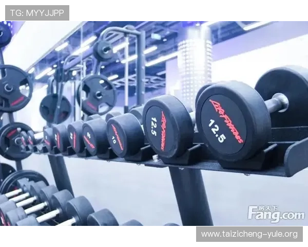 PG壹号娱乐模型怎么样，详细介绍其操作流程与新手入门指南
